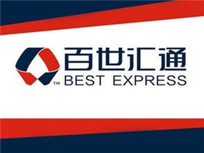 商務(wù)服務(wù)黃頁(yè)與城市聯(lián)盟 構(gòu)建現(xiàn)代商業(yè)生態(tài)的雙翼